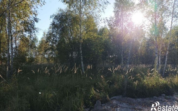 Земельный участок Ясногорский район