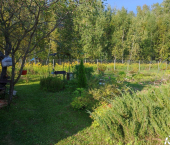 коттедж 35 кв м городской округ Тула